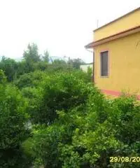 Appartamento di 4 locali in Vendita Appartamento di 4 locali in Vendita