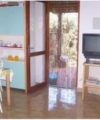 Appartamento a Stintino - Sassari Appartamento a Stintino - Sassari