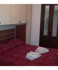 Appartamento di 2 locali in Affitto - Trapani Appartamento di 2 locali in Affitto - Trapani