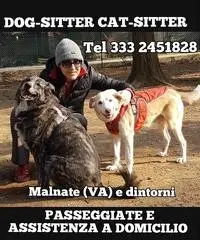 DOG-SITTER Cat-Sitter DOG-SITTER Cat-Sitter