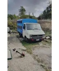 Iveco daily x animali Iveco daily x animali