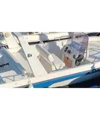 Barca a motore Barca a motore