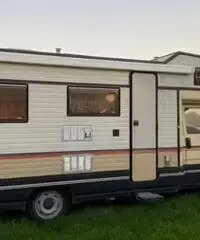 Camper arca America Camper arca America