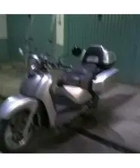 Scoter - Lombardia - Lecco