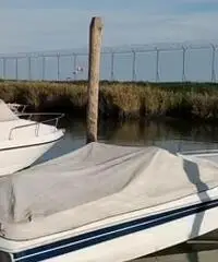 Tullio abbate 6m Tullio abbate 6m
