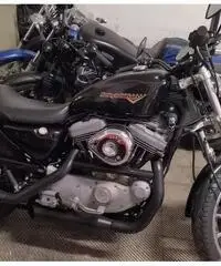 Harley Davidson 1200 sportster Harley Davidson 1200 sportster