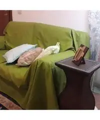 Villino indipendente ai Castelli Romani