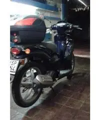 Scarabeo 50 - Verona