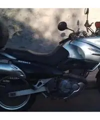 Suzuki 650 Suzuki 650