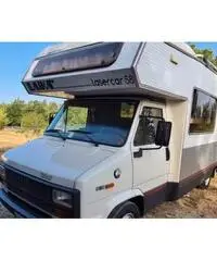 Laika su ducato Laika su ducato