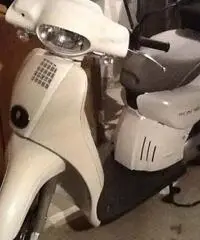 Scarabeo 50 Net - Terni