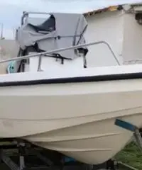 Barca Open 530 Lazzari Suzuki Barca Open 530 Lazzari Suzuki