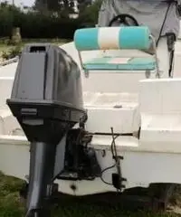 Barca Open 530 Lazzari Suzuki Barca Open 530 Lazzari Suzuki