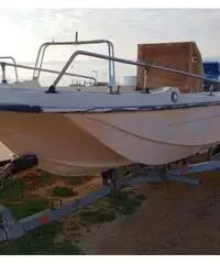 Barca a motore Barca a motore