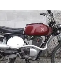 Gilera 175 regolarità competizione Gilera 175 regolarità competizione