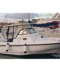 Boston Wealer 28 Outrage del 2000 Boston Wealer 28 Outrage del 2000