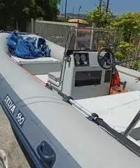 Gommone Selva 560 Gommone Selva 560