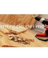 TRASLOCHI BOLOGNA Sgomberi Noleggio MONTAGGIO MOBILI TRASLOCHI BOLOGNA Sgomberi Noleggio MONTAGGIO MOBILI