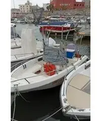 Barca a motore Barca a motore