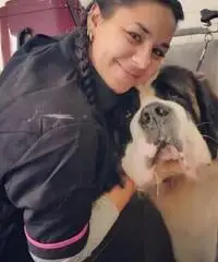 Dog sitter Dog sitter