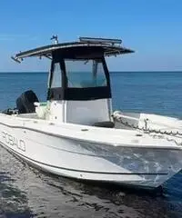Robalo 24.40 Robalo 24.40