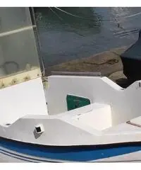 Barca con motore fuoribordo Barca con motore fuoribordo