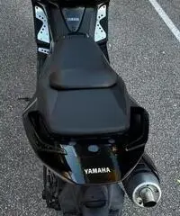 T Max T Max
