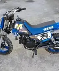 Yamaha PW 50 - 2021 Yamaha PW 50 - 2021