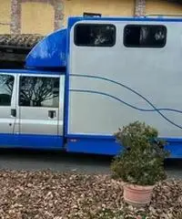 Van Trasposto cavalli