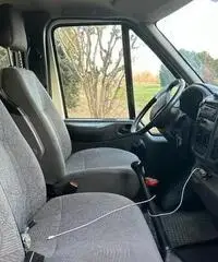 Van Trasposto cavalli