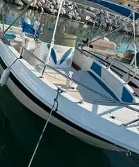 Italmar 19 open Italmar 19 open
