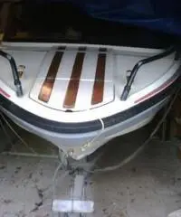Rio 450 Top con Johnson GT737 e carrello Ellebi Rio 450 Top con Johnson GT737 e carrello Ellebi