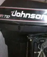 Rio 450 Top con Johnson GT737 e carrello Ellebi Rio 450 Top con Johnson GT737 e carrello Ellebi
