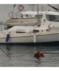 Barca a vela semicabinata BWC (DE) 20 Ft Barca a vela semicabinata BWC (DE) 20 Ft