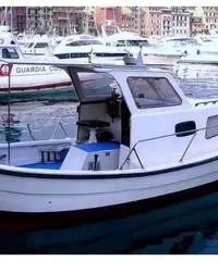 Natante Pilotina eb diesel 7,5 metri Natante Pilotina eb diesel 7,5 metri