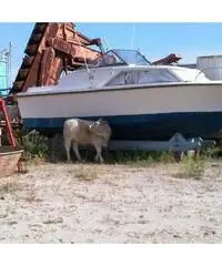 Barca cabinato 6.8 mt con motore 175 cv diesel e trasmission Barca cabinato 6.8 mt con motore 175 cv diesel e trasmission