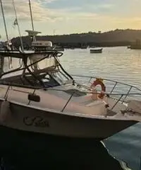 Bayliner Trophy 23 Bayliner Trophy 23