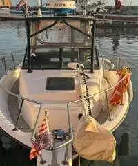Bayliner Trophy 23 Bayliner Trophy 23
