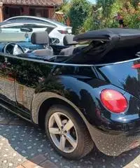 Volkswagen New Beetle 1.9 TDI 105CV Cabrio Volkswagen New Beetle 1.9 TDI 105CV Cabrio