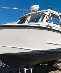 Calafuria 8 big game daycruiser Calafuria 8 big game daycruiser