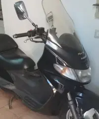 Suzuki Burgman 250 - 1999 Suzuki Burgman 250 - 1999