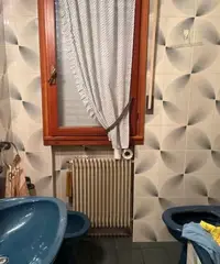 Appartamento grado pineta