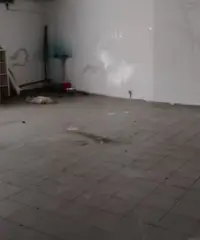S.G.La Punta centro bottega di 140 mq su 2 livelli S.G.La Punta centro bottega di 140 mq su 2 livelli