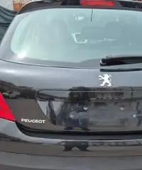 PEUGEOT 207 1.4 GPL PERFETTA E FULL 2010 PEUGEOT 207 1.4 GPL PERFETTA E FULL 2010