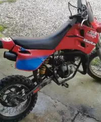 Beta Minicross - 2019