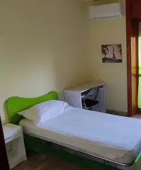Stanza femminile brevi p., zona tribunale Stanza femminile brevi p., zona tribunale