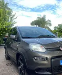 Fiat panda sport