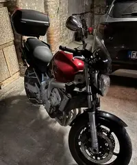 Yamaha fz6 Yamaha fz6