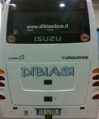 ISUZU TOURQUISE ISUZU TOURQUISE