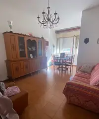 Piombino 100 mt dal mare con giardino Piombino 100 mt dal mare con giardino